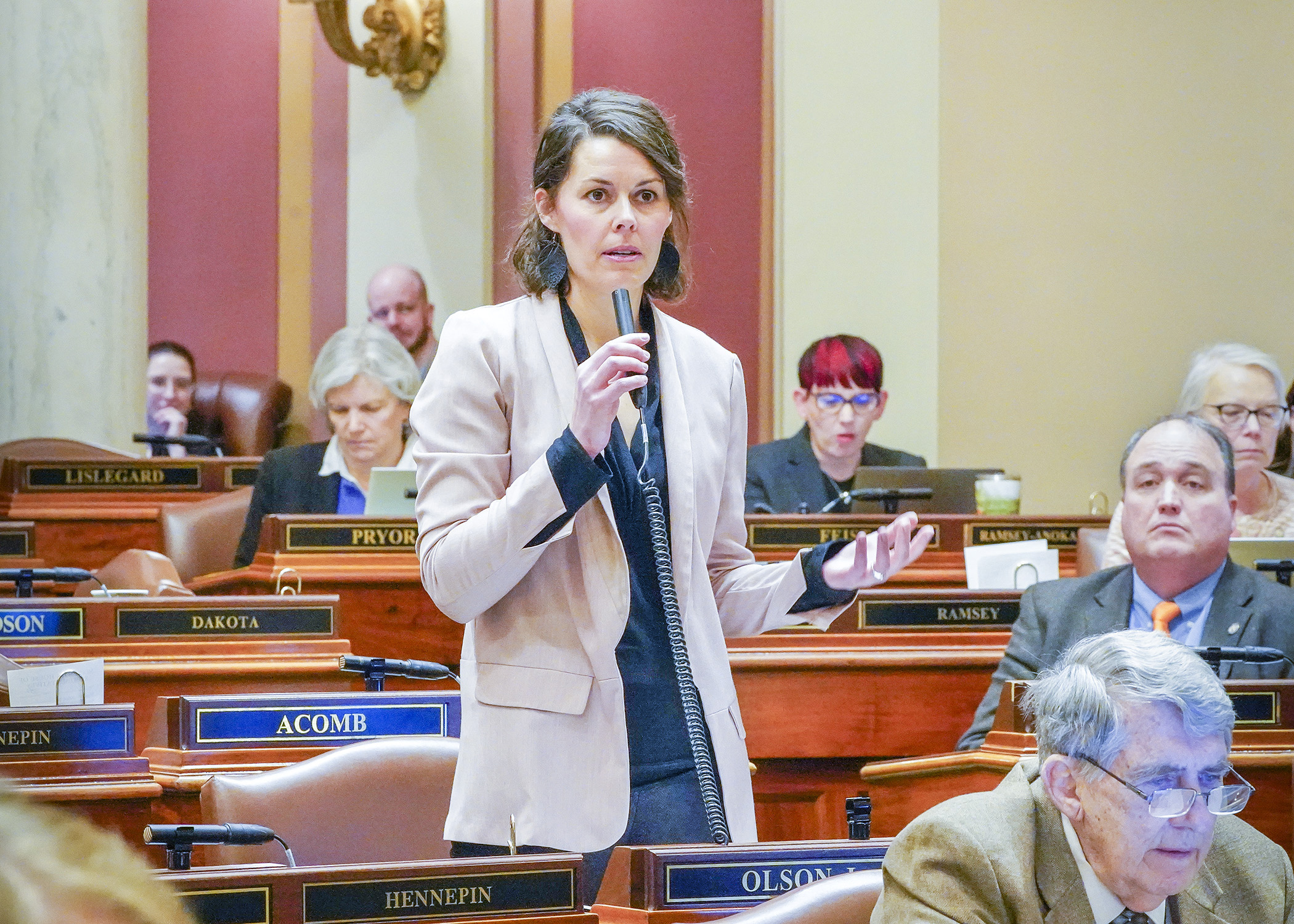 Rep. Liz Olson presents HF19 on the House Floor Feb. 16. The bill would provide earned sick and safe time for employees who work more than 80 hours a year for an employer. (Photo by Andrew VonBank)